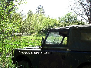 Belgian Jungle