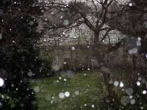 Snowy