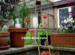 Back Yard Terras