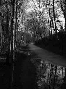 Black and White Solitude