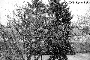 First Day of Winter