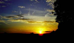 Gradient Sunset