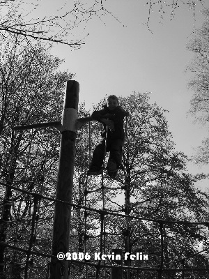 Little Monkey