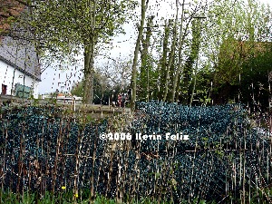 Nature and Plastic
