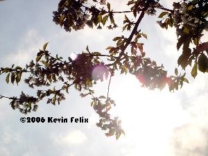Strong Light