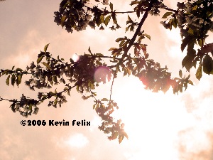 Warm Strong Light