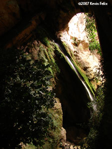 Molinos