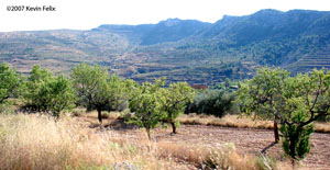 Molinos