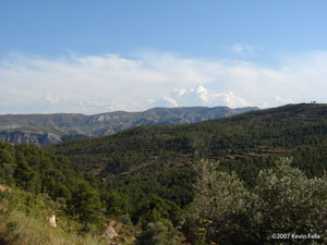 Molinos