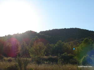 Molinos