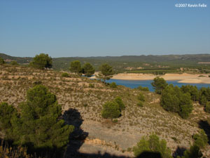 Molinos